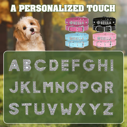 Personalized PU Leather Alphabet Dog Collar with Crown